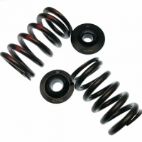 Brian Crower Honda D16Y8/D16Z6 Single Spring & Steel Retainer Kit