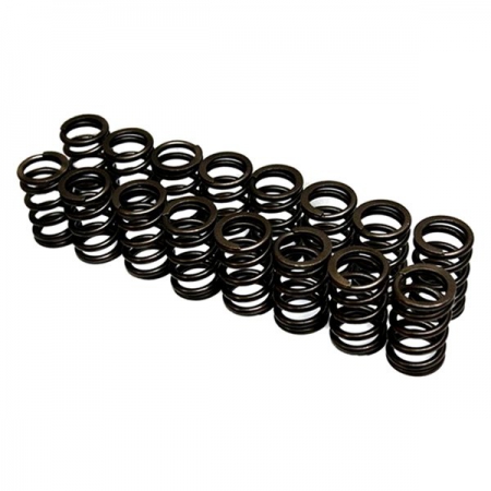 Brian Crower Valve Spring Set – Nissan SR20DET