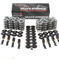 BTR PLATINUM LS DUAL SPRING KIT – .660″ LIFT – SK001